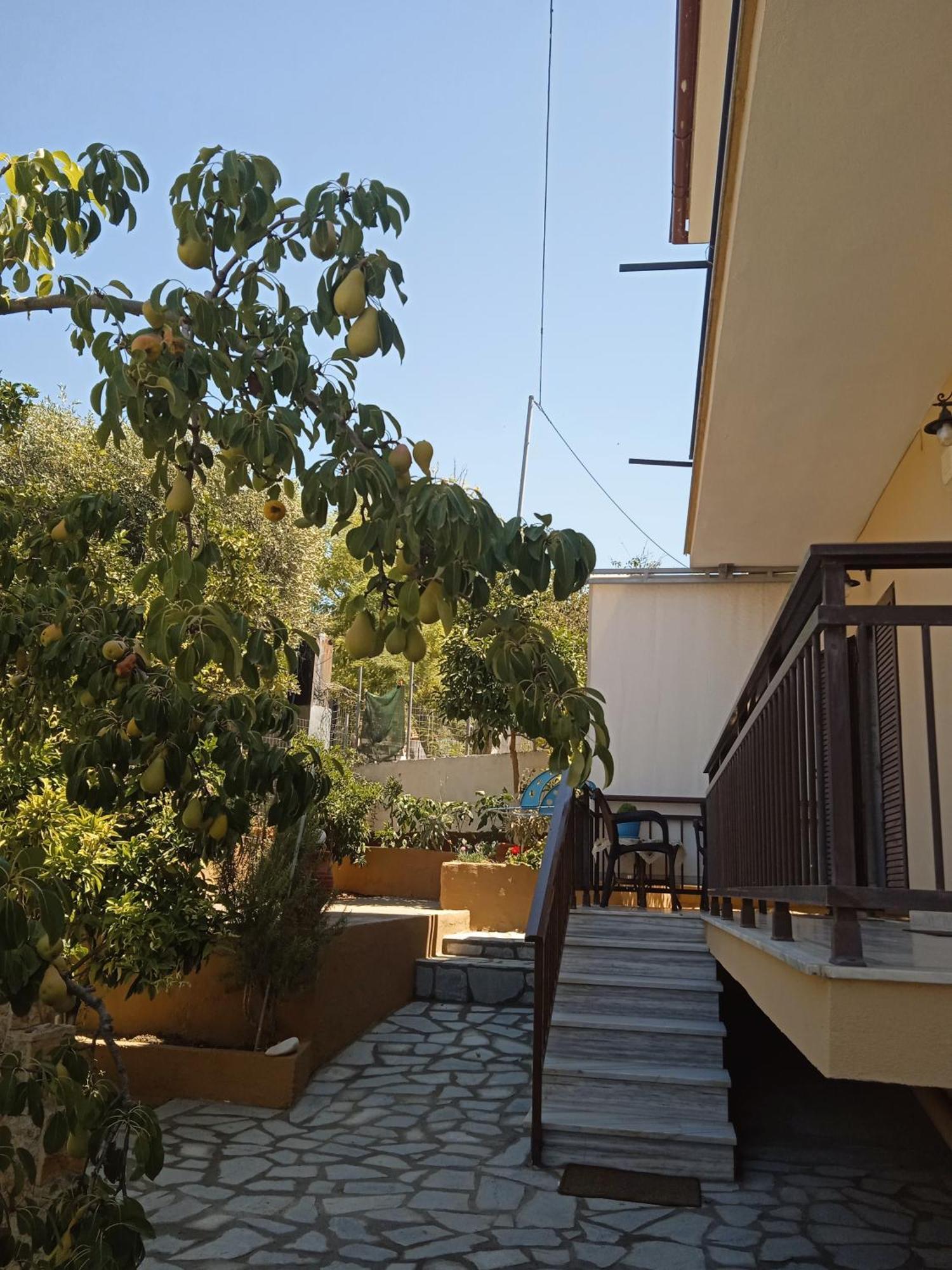 Dimitra'S Garden Apartments Skála Kallirákhis 외부 사진